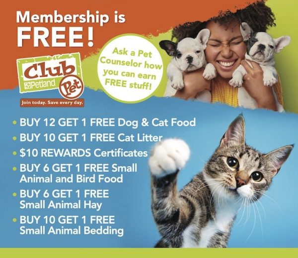 Petland best sale cat litter
