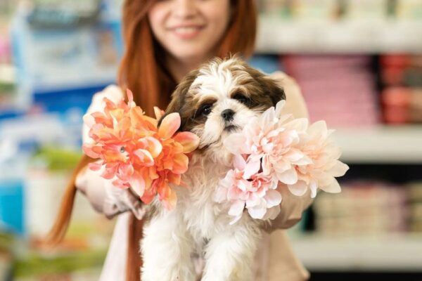 The Ultimate Dog Mom Resume: Are You Qualified for the Best Job Ever?