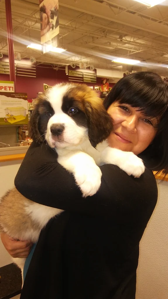 Puppies featured by Petland Dalton
